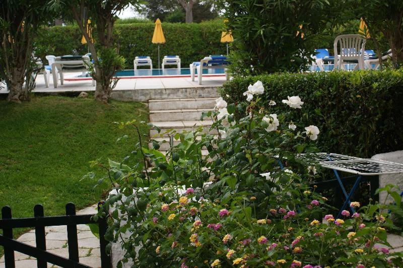 Hamilton Court Apart otel Santo Tomás Dış mekan fotoğraf